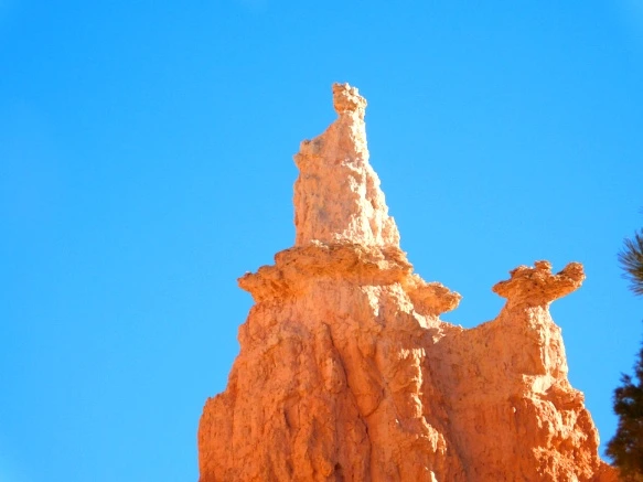 996C26335A1A38AE106A6F