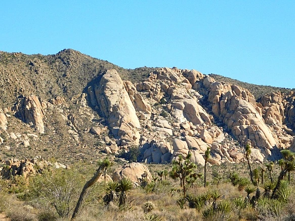 99A6F8455BE4EFF325475E