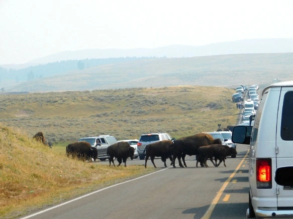 9948DE3359AF0FEE265FF7