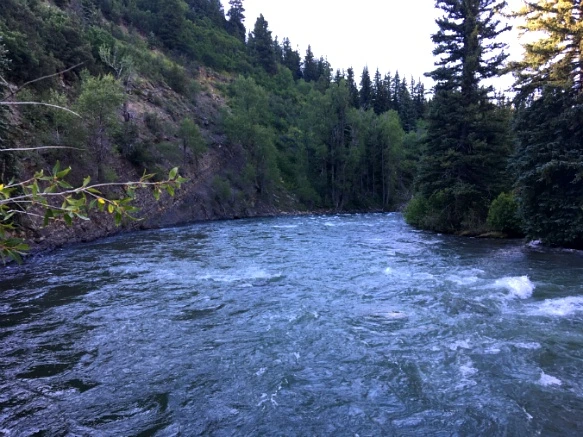 245A5738595C626006A0A4