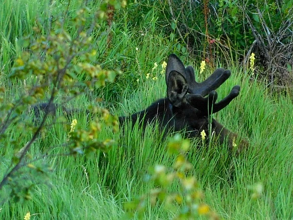 995BB24D5B72691E369945