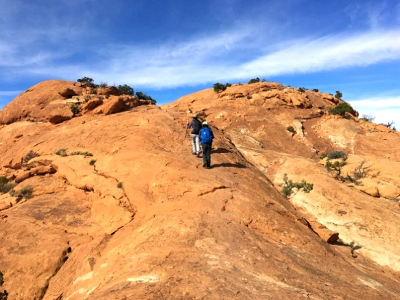 994ACF335A0E5AAE14CC7A