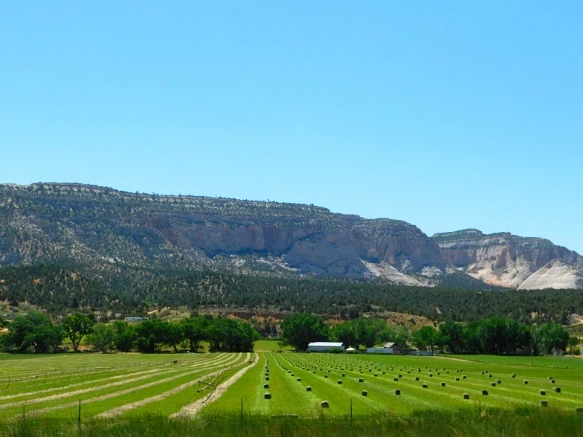 223313375769DA87205F39