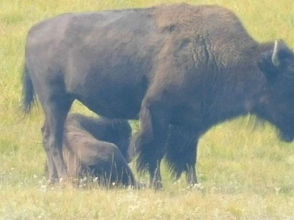 9941023359AF0FE928144E