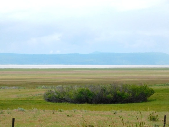 994A06435B2DDE1518D737