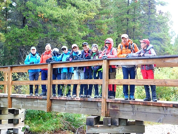 993B9F455BA1B21C021BFB