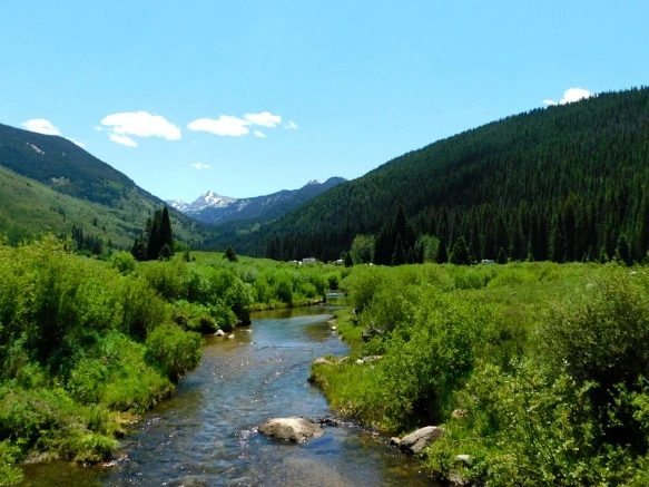 2318754E595C2CA701C222