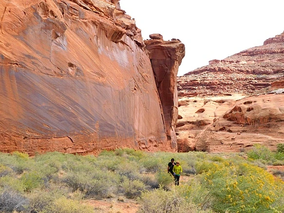 9954594F5BBC2CF70876B1