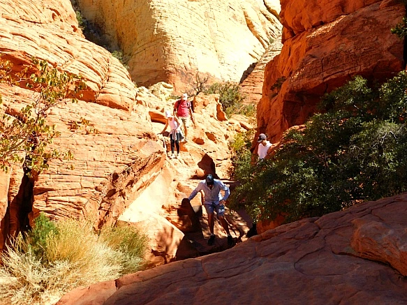 992564355BCD1DA00AC256