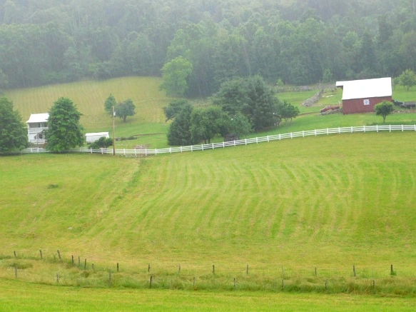 243ECD50595024412A7702