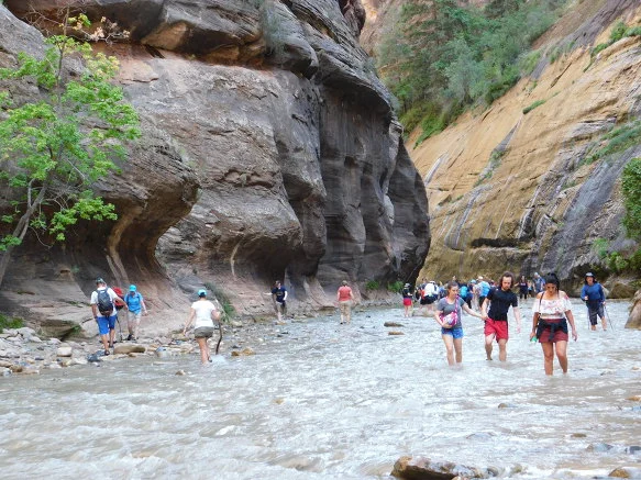 99BC133359BB12F63023FF