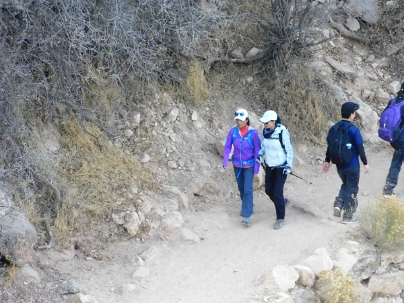 99795F335A1F5F1E36C20B