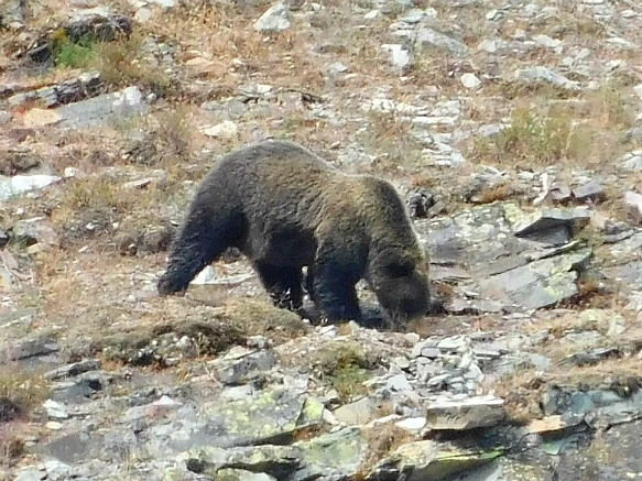 99DD623C5B949F352D4358