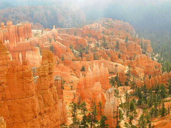 994A6C505BC56C980ED318