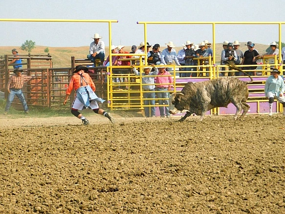 9948CC3B5B7D9EC60227B6