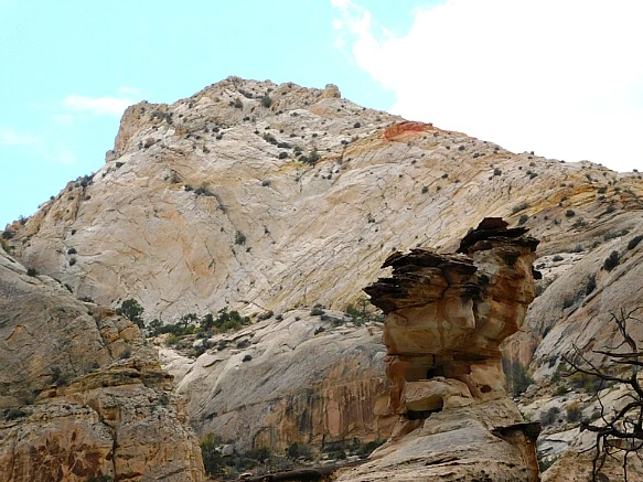 99419B455BC2B46504B120