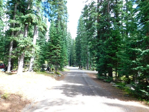 99CB863359BF48AE39DD2C