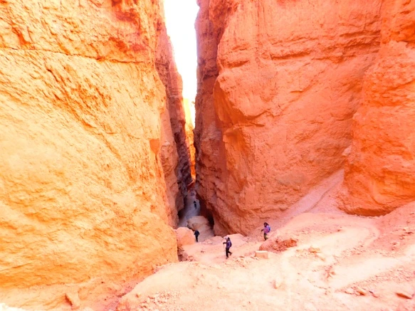 99558B335A1A389701E82D