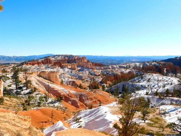 995171335A1A3B650AF30E