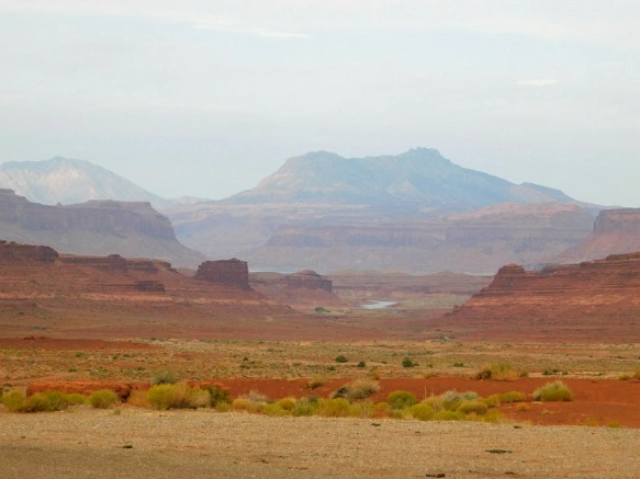 996FF93359B5E6FB1736D2