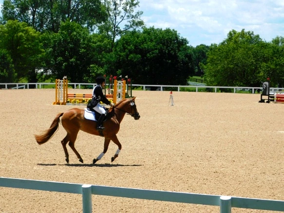 23B41B33597D1944210FF6