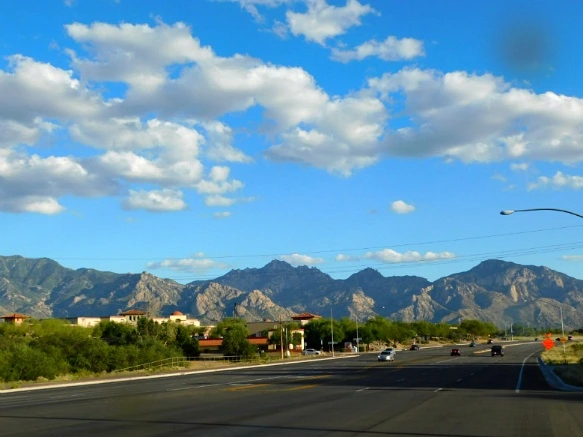 99104B3359C8798A17E146