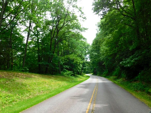 23326C48595096C60F25BA