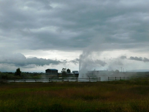 991602485B2DDE1E17935C