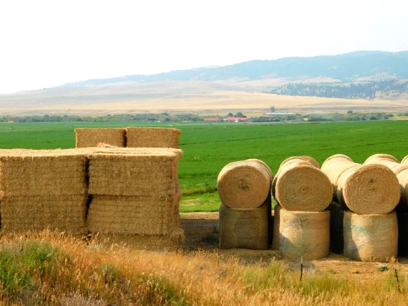 99635033599E4F500738F0