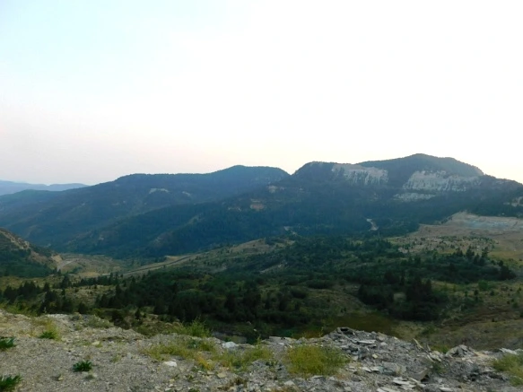 9988863359B1EDD62E7EED