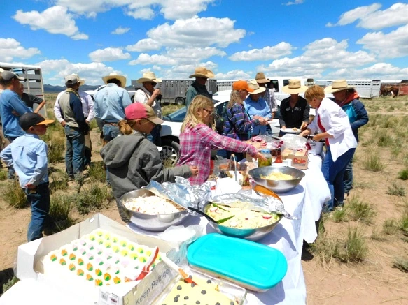 272729425936354019EEED