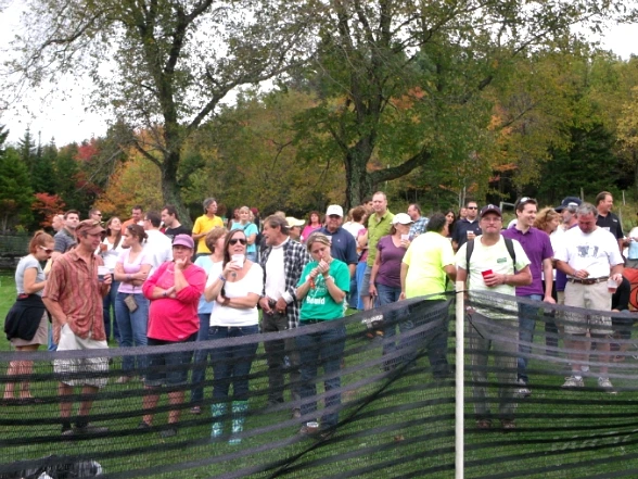 1234334E4E810597376174