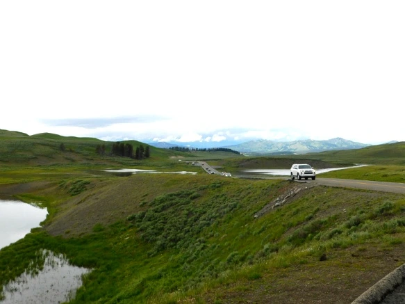 99F8ED4B5B39A8402C7F0D