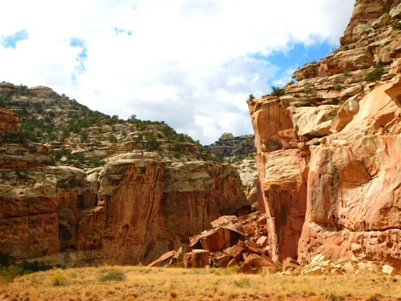 9940224E5BC2B54A2F94DC