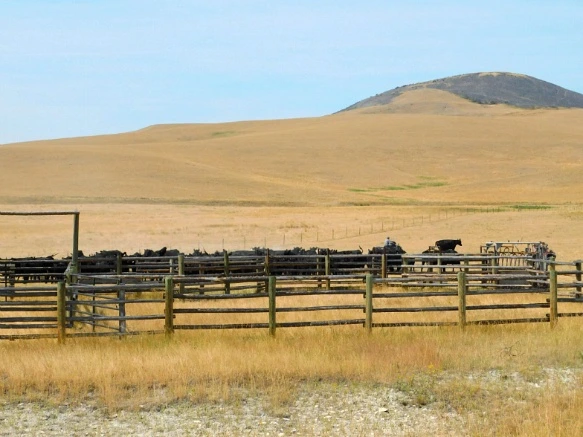 9934C133599F9D560CA59D