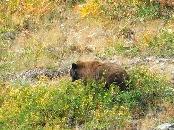 99CF41445B9F2E58177DAB