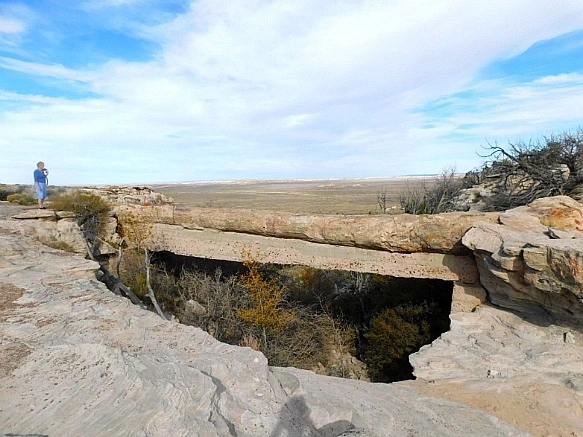 9968F4395BE6791D342802