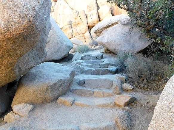 99E6A8455BE4EF29245C03