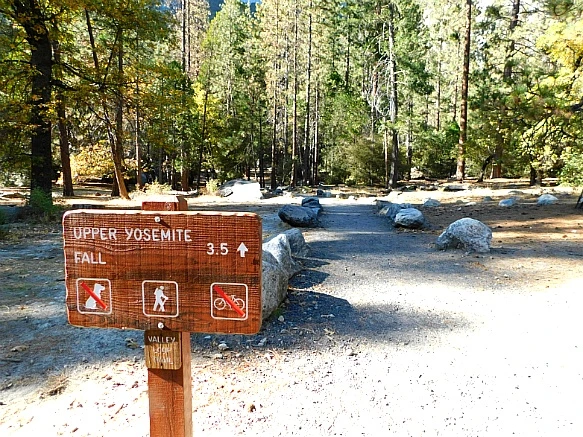 99A7D8335BD6884A031DEC