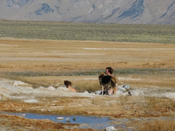 99D2243D5BD41FE102E054