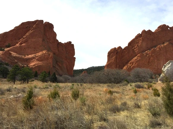 2306084956F5F68010875A