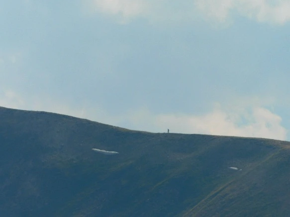 995FE6425B6BA49325C7D0