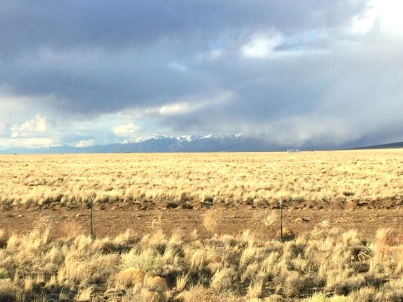 263ABB445701A392133073