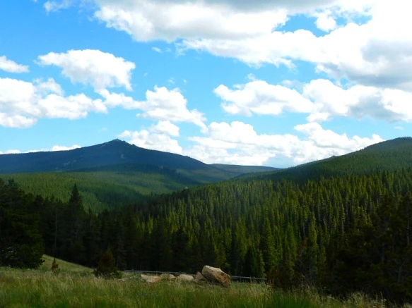 994D7C4C5B402B1C068C01