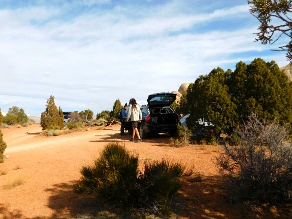 99A103335A18D4C624A529