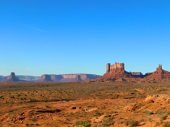 99ADF5495BBC276E2F56BA