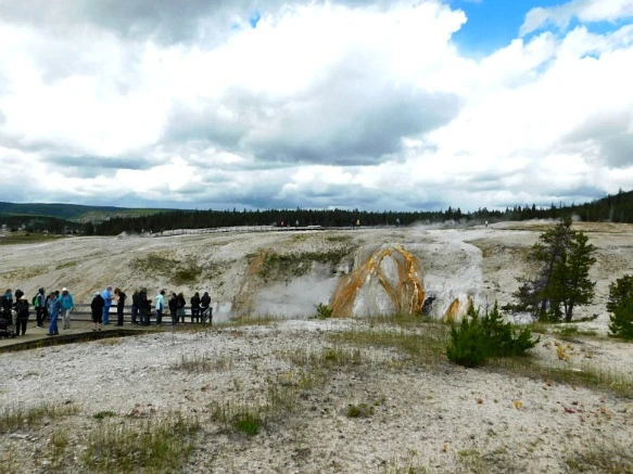 997DD0465B39A65E344BB7