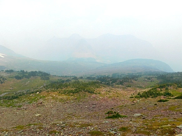 99FED93D5B8A01F51DFCE6