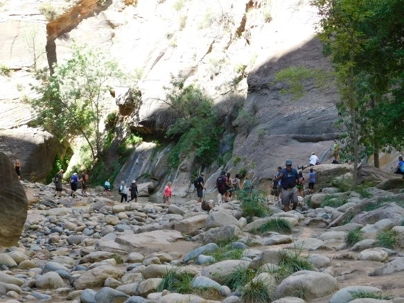 99A16F3359BB132238F74B