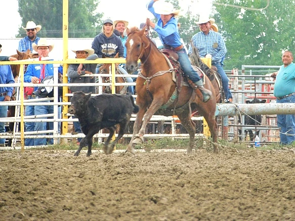 99F8BB3E5B7F7ECA210BF6